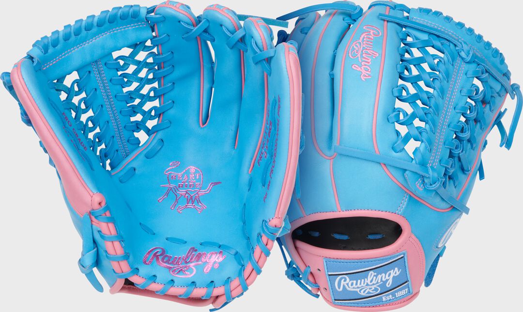 Heart of the Hide 12.75-Inch Modified Trap-Eze Web Glove
